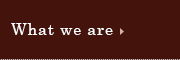 What we are